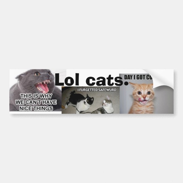 Lol Katzen Autoaufkleber (Vorne)