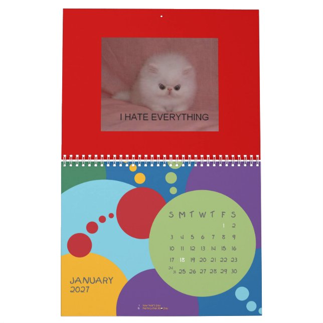 LOL Katzen-Kalender Kalender (Jan 2027)