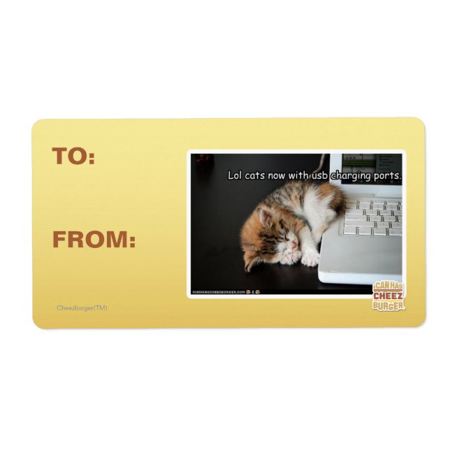 Lol Katzen mit USB (Vorne)