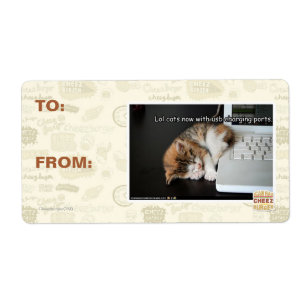 Lol Katzen mit USB