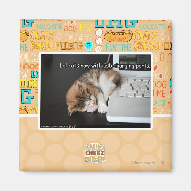 Lol Katzen mit USB Magnet (Vorne)