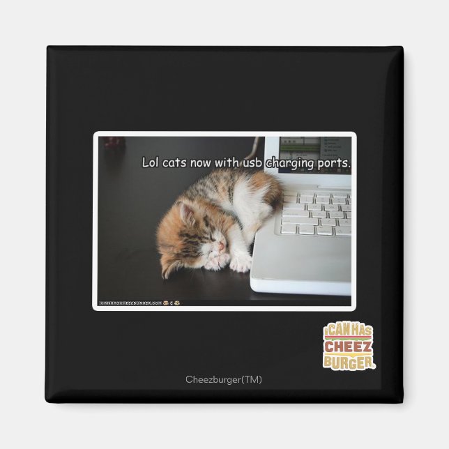 Lol Katzen mit USB Magnet (Vorne)