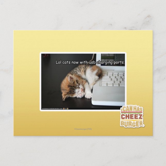 Lol Katzen mit USB Postkarte (Vorderseite)