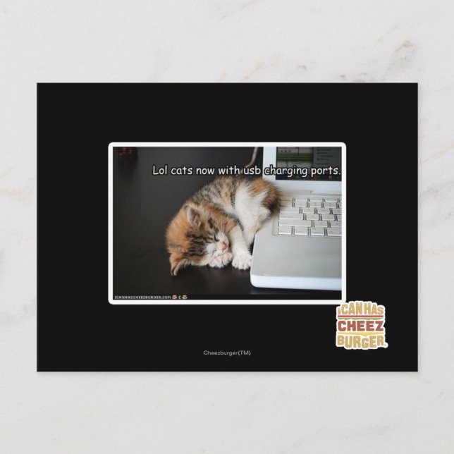 Lol Katzen mit USB Postkarte (Vorderseite)