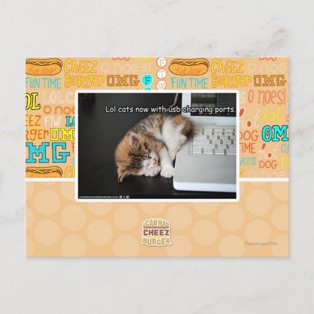 Lol Katzen mit USB Postkarte (Vorderseite)