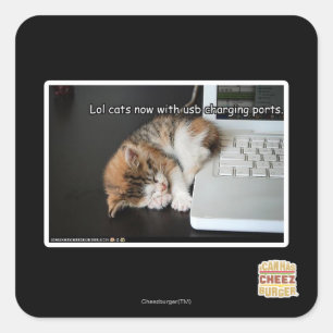 Lol Katzen mit USB Quadratischer Aufkleber