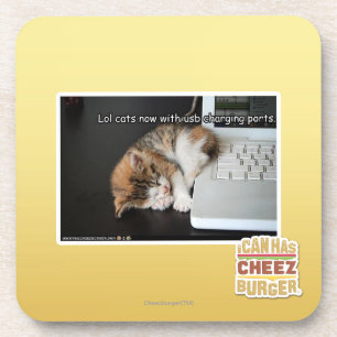 Lol Katzen mit USB Untersetzer