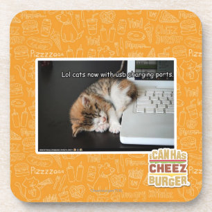 Lol Katzen mit USB Untersetzer