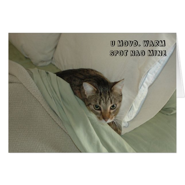 LOL Katzenkarte (Vorderseite (Horizontal))