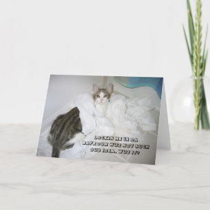 LOL Katzenkarte Karte