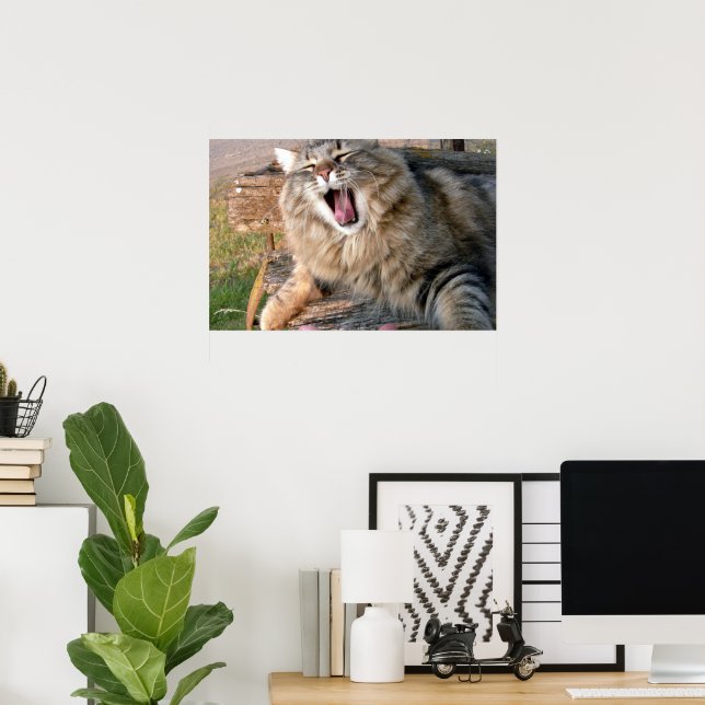 LOL Maine Coon Poster (Heimbüro)
