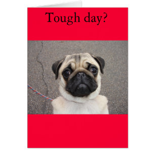 Lola glaubt Ihren Schmerz