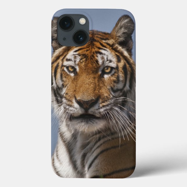 Lola iPad Case (Rückseite)