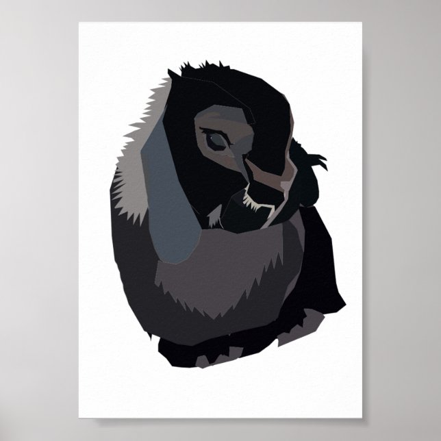 Lola Print Poster (Vorne)