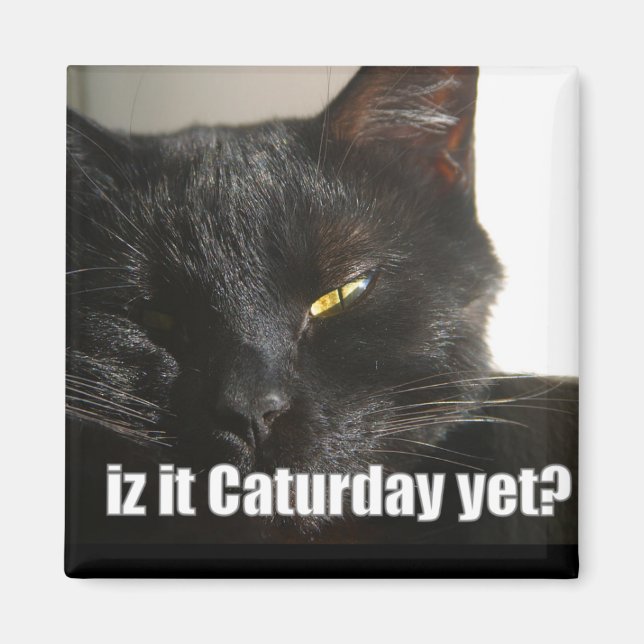 LOLCat 2 Magnet (Vorne)