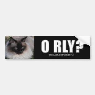 LOLCat 4 Autoaufkleber