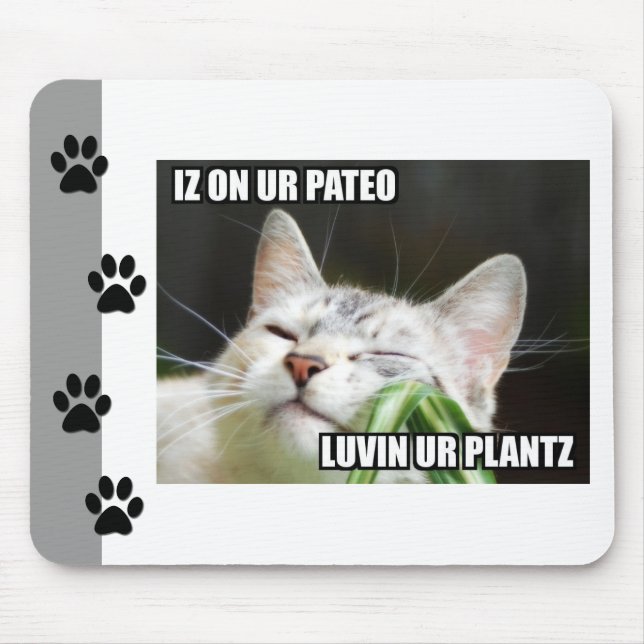 LOLCat Sassy Mousepad (Vorne)