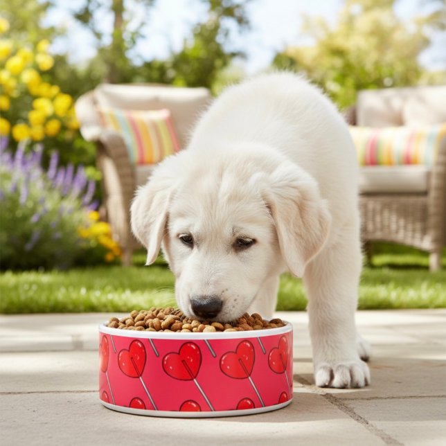 Lollipop Bowl Napf (Von Creator hochgeladen)