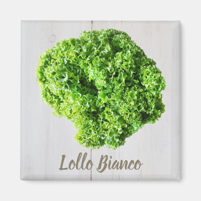 Lollo Bianco Salad Salat Blätter für Veganer Magnet (Vorne)
