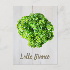 Lollo Bianco Salad Salat Blätter für Veganer Postkarte