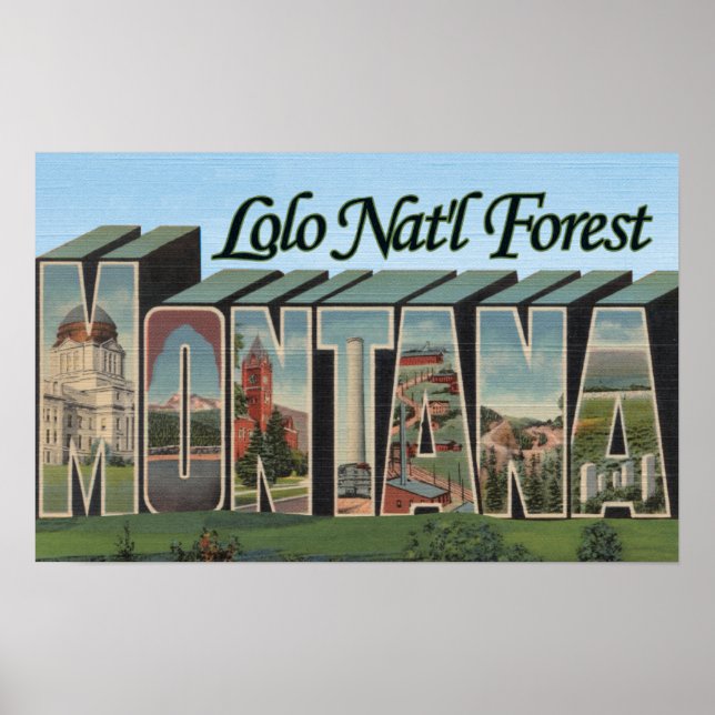 Lolo Nat'l Forest, Montana Poster (Vorne)