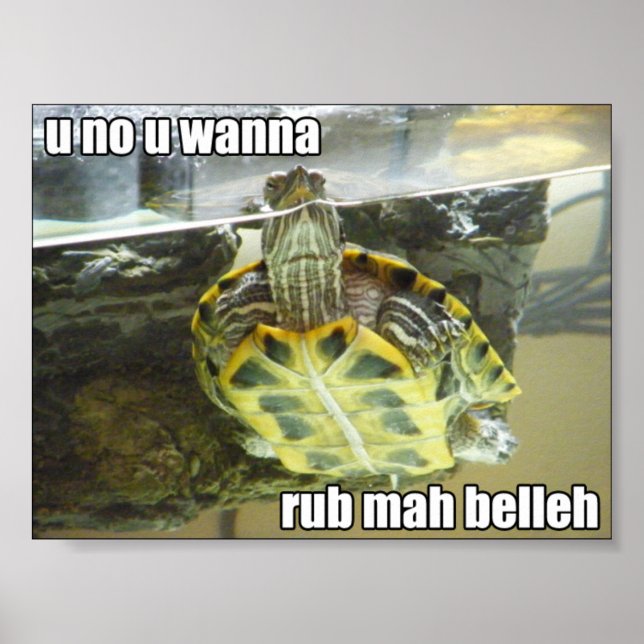 LOLschildkröte - rub mah belleh Poster (Vorne)
