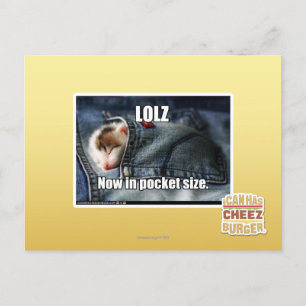 LOLZ jetzt in Pocket Size Postkarte