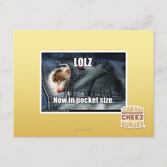 LOLZ jetzt in Pocket Size Postkarte (Vorderseite)
