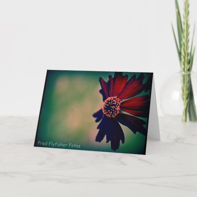 Lomo Daisy Card Karte (Vorderseite)