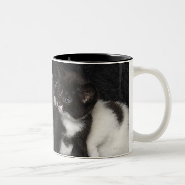 London, England, Großbritannien 3 Zweifarbige Tasse (Rechts)