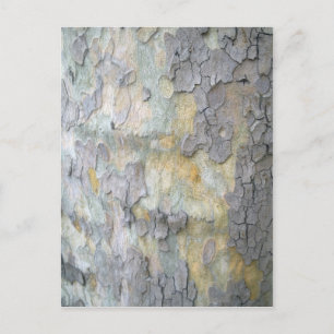 London Flugzeug Tree Bark Postcard Postkarte