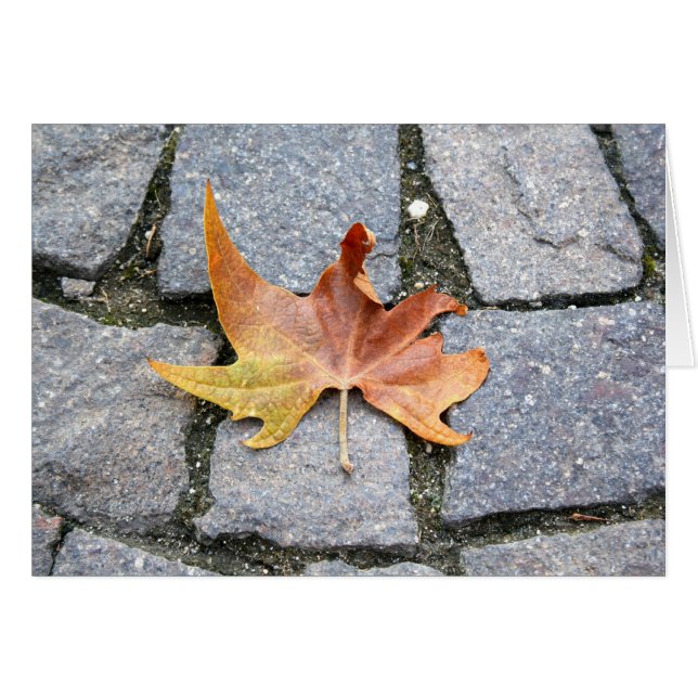 London Flugzeug Tree Leaf (Vorderseite (Horizontal))