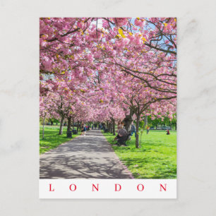 London Greenwich Park Kirschblütenansicht Postkart Postkarte