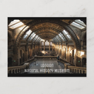 London - Museum für Naturgeschichte Postkarte