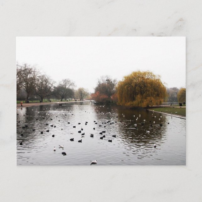 LONDON-Parks Postkarte (Vorderseite)