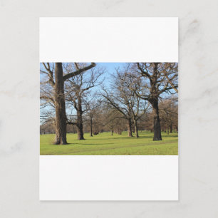London Postkarte