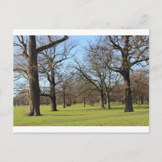 London Postkarte