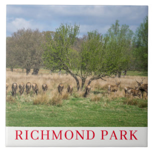 London Richmond Park Hirsche Keramik Fliesen