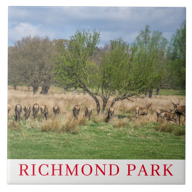 London Richmond Park Hirsche Keramik Fliesen (Vorderseite)