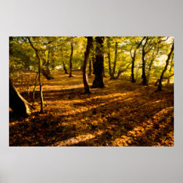 London Woods Poster