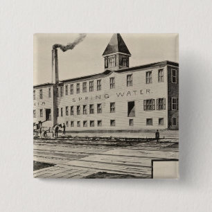 Londonderry Lithia Spring Water Co Button