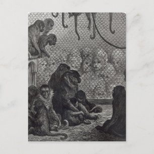 Londoner Affen Postkarte