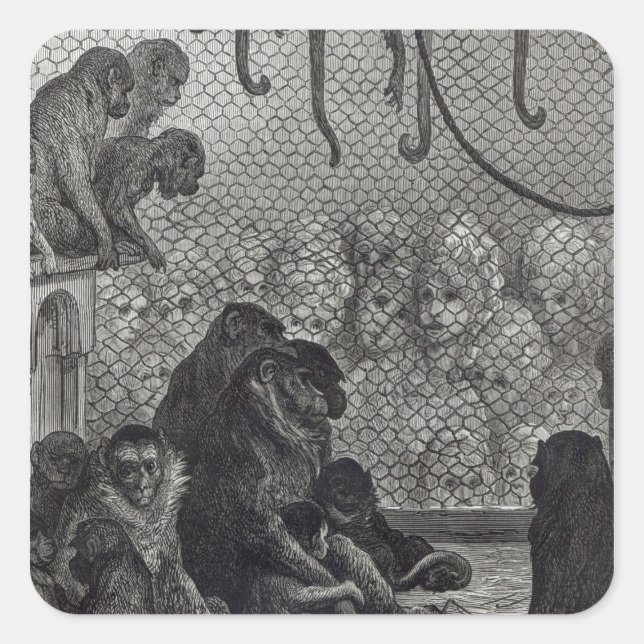 Londoner Affen Quadratischer Aufkleber (Vorderseite)