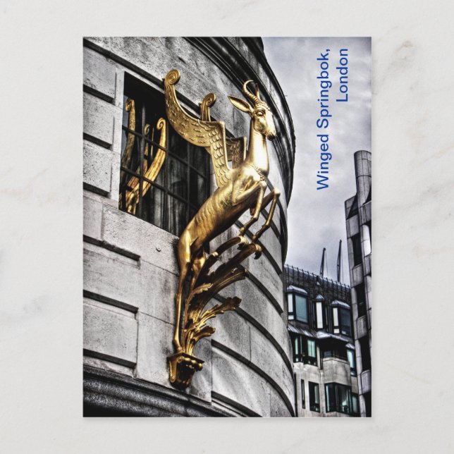 Londons Winged Springbok Postkarte (Vorderseite)