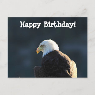Lone Bald Eagle; glücklich zum Geburtstag Postkarte