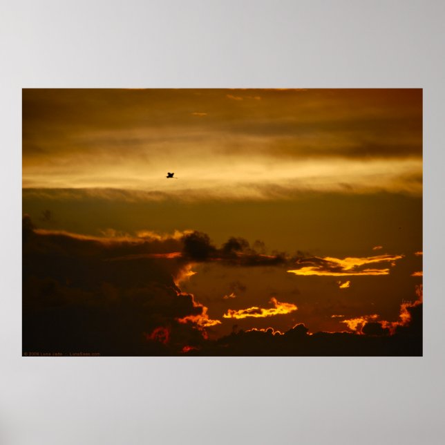 Lone Bird in a Firey Sky (Poster) Poster (Vorne)