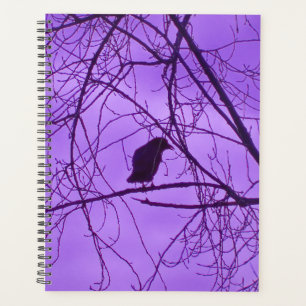 Lone Black Crow Silhouette in Trees Lila Sky Planer