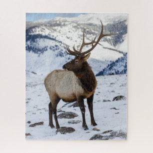 Lone Bull Elk in Snow Yellowstone National Park Puzzle