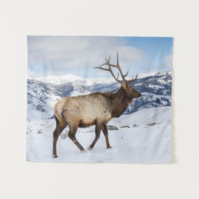 Lone Bull Elk | Yellowstone-Nationalpark Wandteppich (Vorderseite (Horizontal))