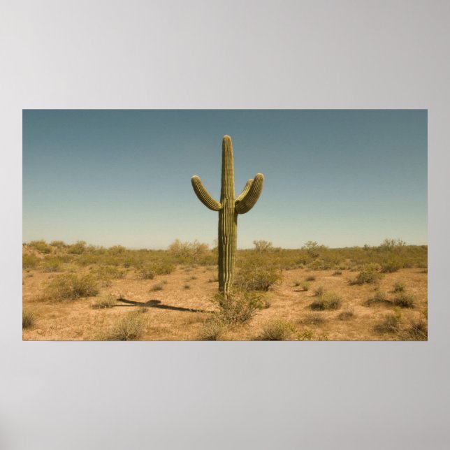 Lone Cactus Poster (Vorne)